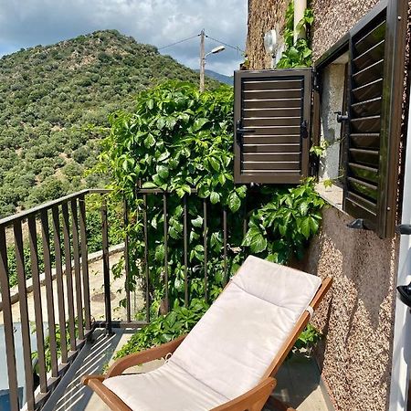 Studio Terrasse Vue Mer Clim Wifi Parking Partinello Luaran gambar